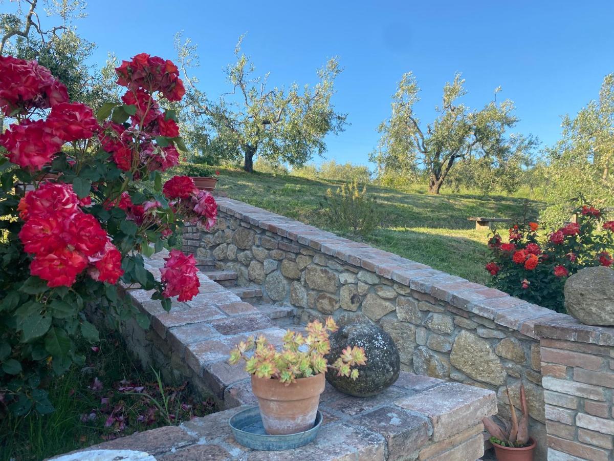 Agriturismo Casallario โวลแตร์รา ภายนอก รูปภาพ