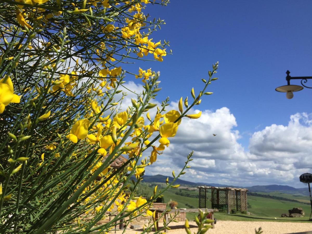 Agriturismo Casallario โวลแตร์รา ภายนอก รูปภาพ