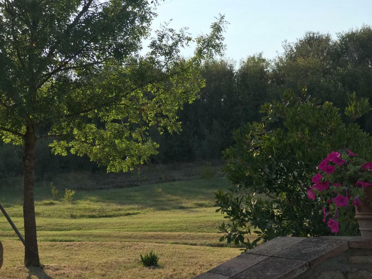 Agriturismo Casallario โวลแตร์รา ภายนอก รูปภาพ